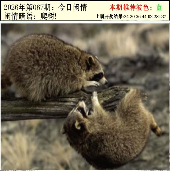 067期今日闲情2[图]