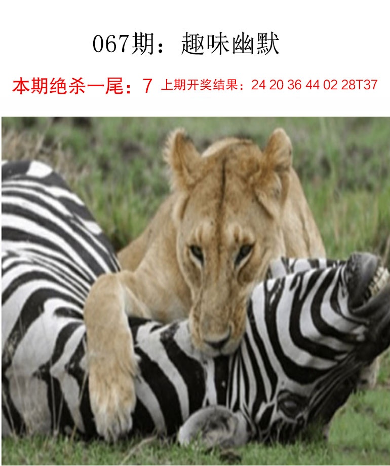 067期趣味幽默[图]