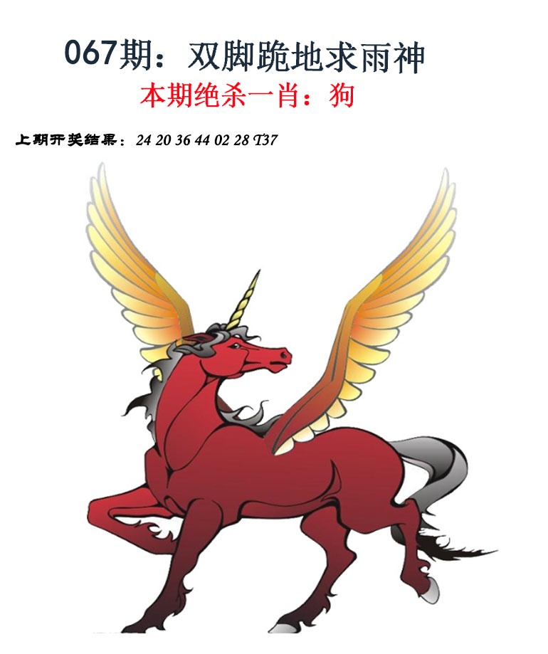 067期金钱豹自有真功夫[图]