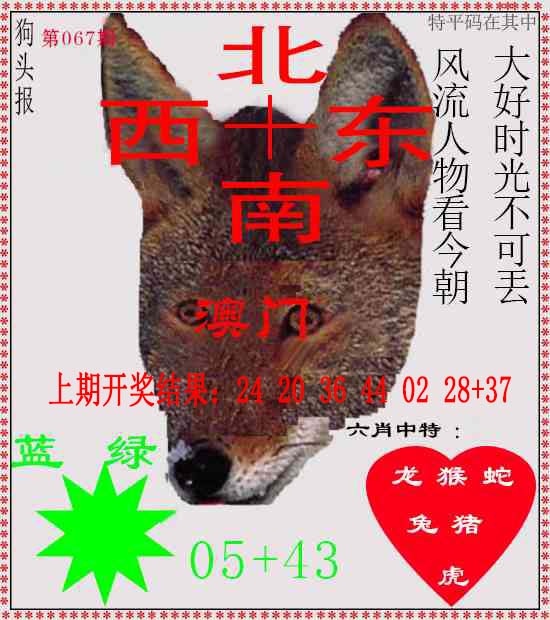 067期狗头报[图]