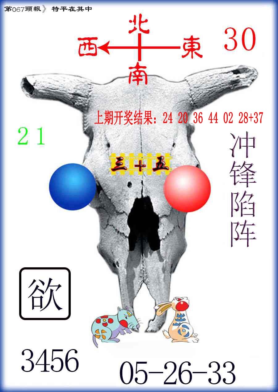 067期牛头报[图]