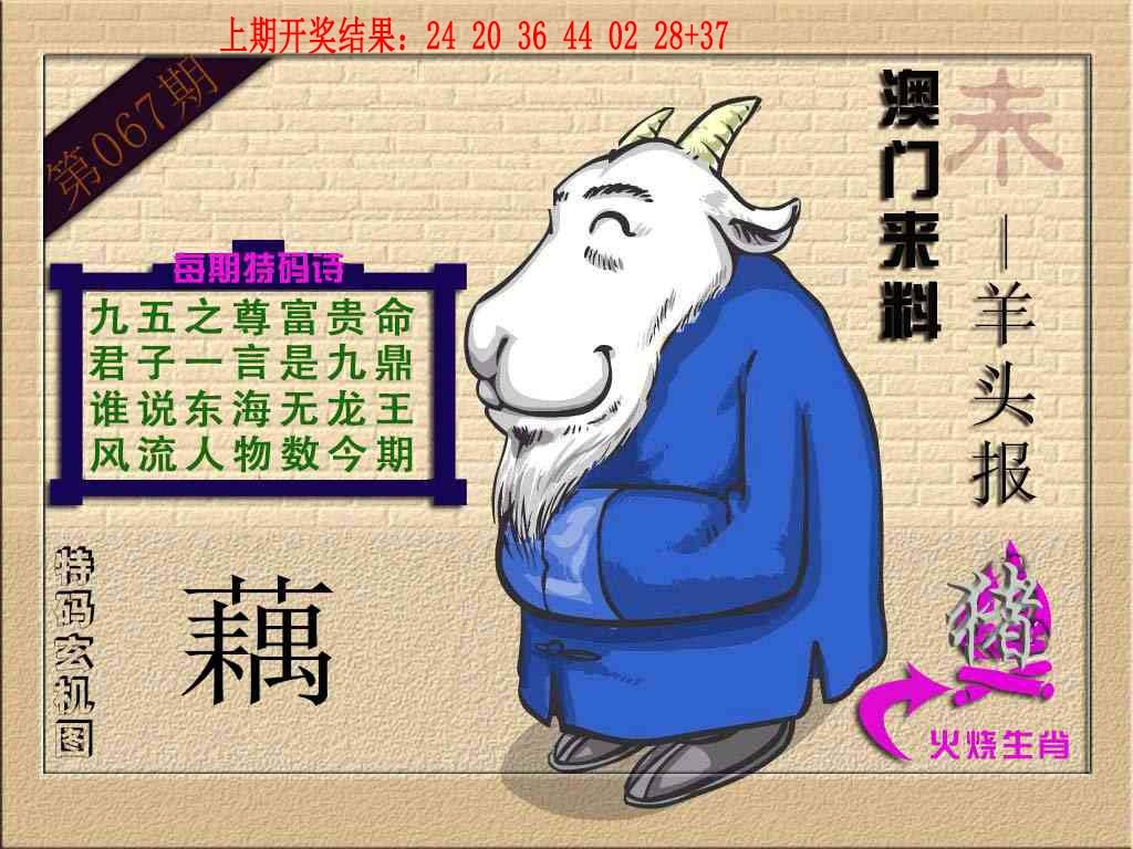 067期(来料)羊报[图]