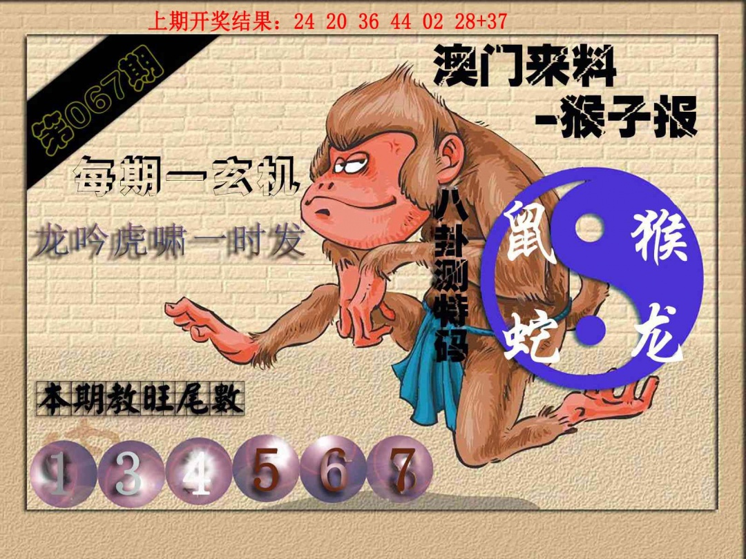 067期(来料)猴报[图]
