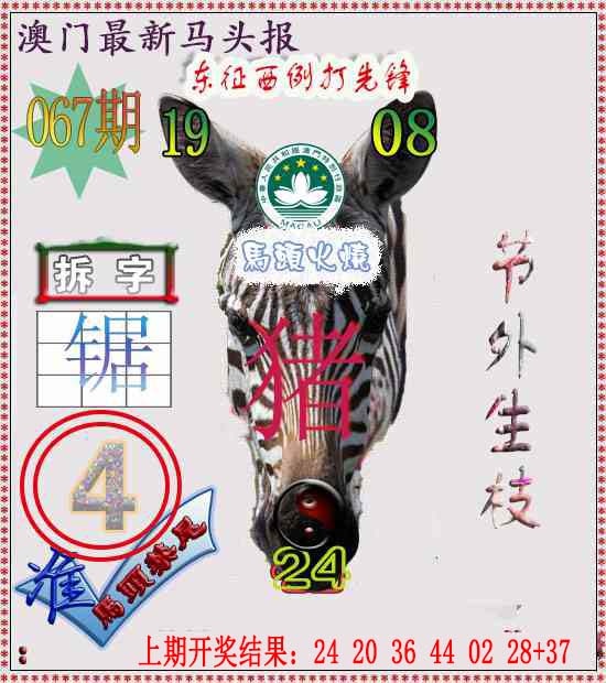 067期马头报[图]