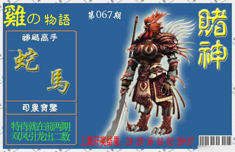 067期赌神鸡报[图]