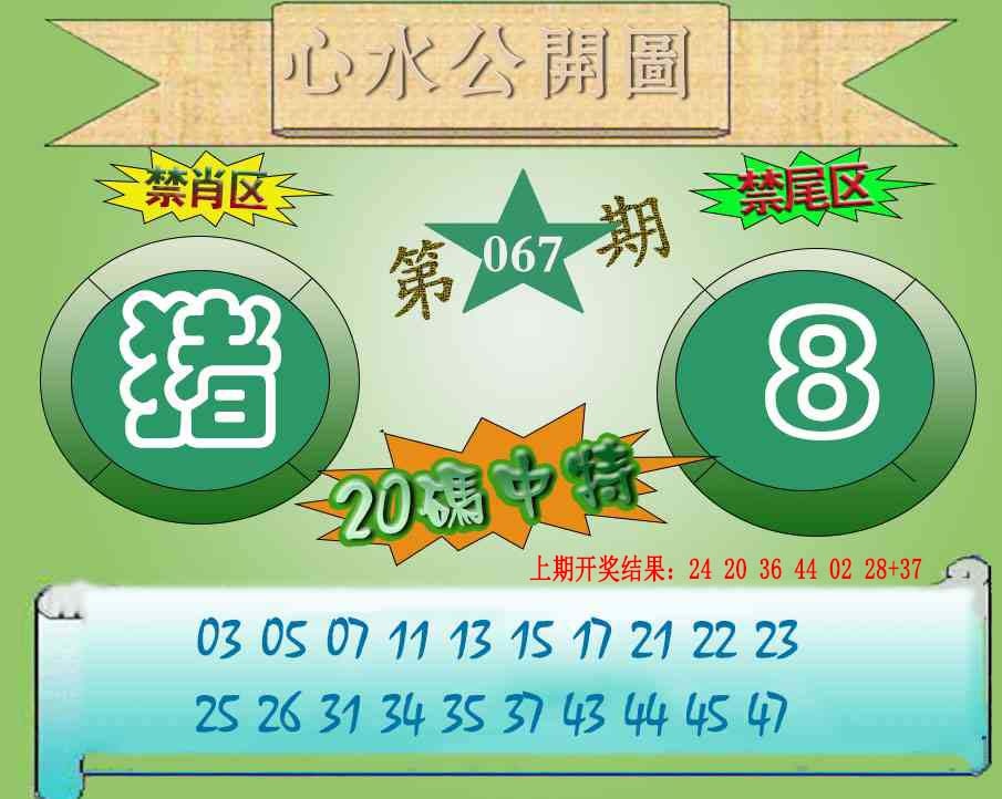 067期心水公开图[图]