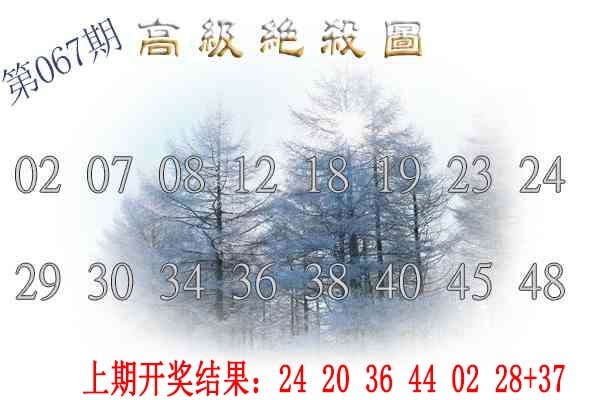 067期高级内部绝杀[图]