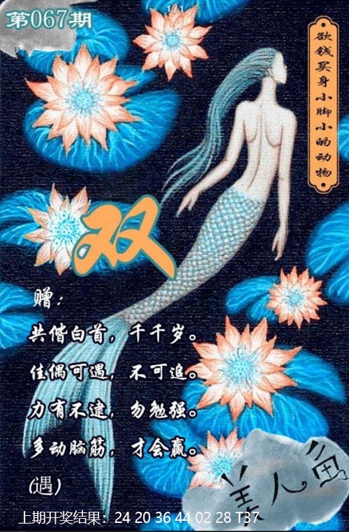 067期美人鱼单双中特图[图]
