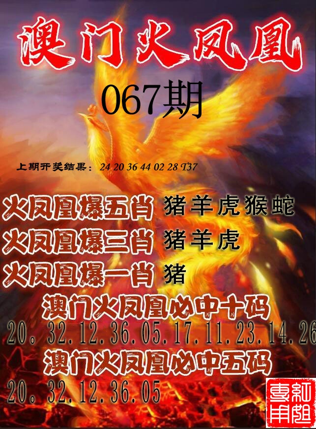 067期火凤凰[图]