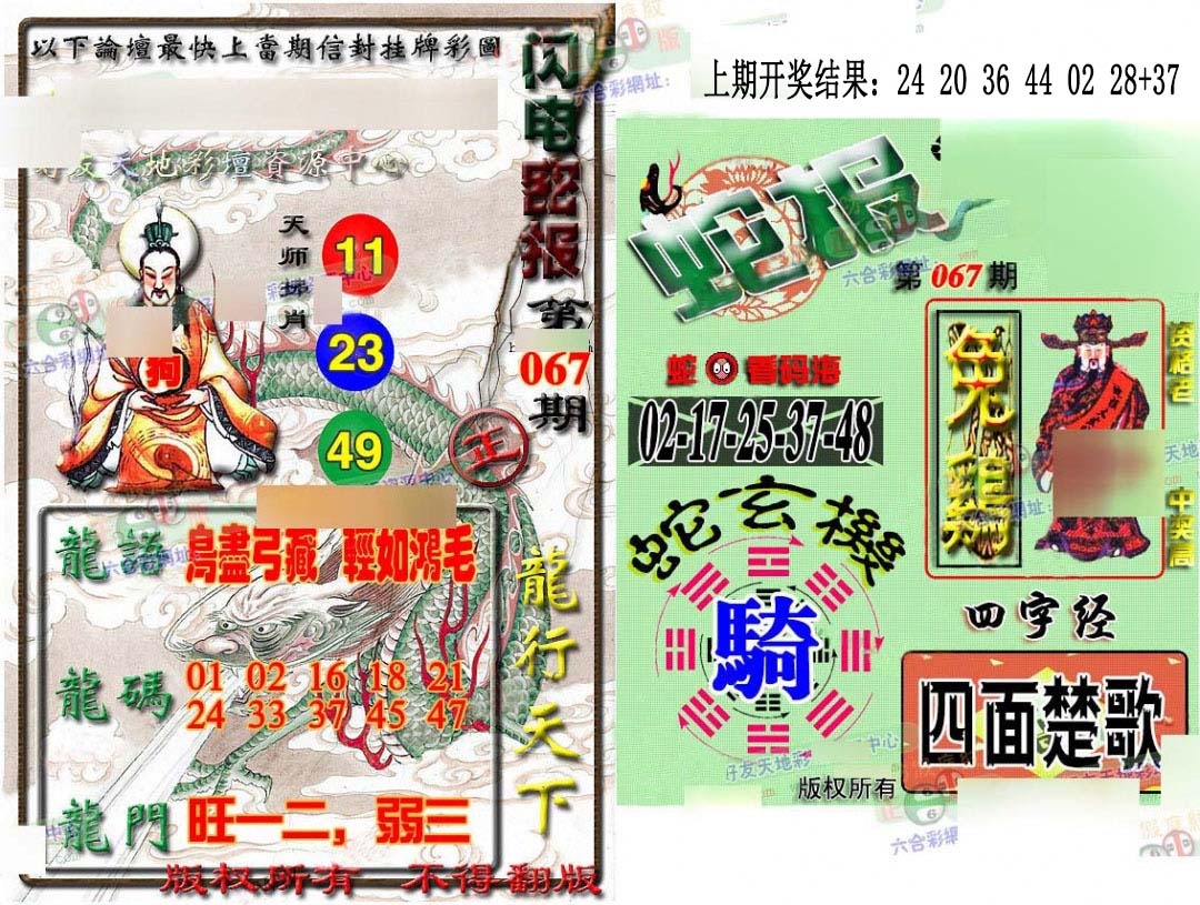 067期蛇报闪电版[图]