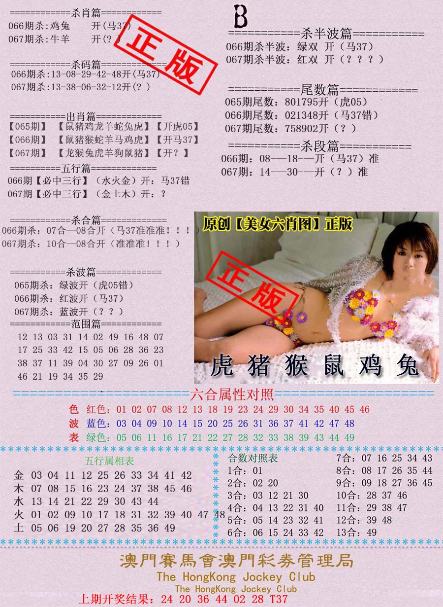 067期通缉令-2[图]