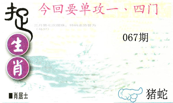 067期捉生肖[图]