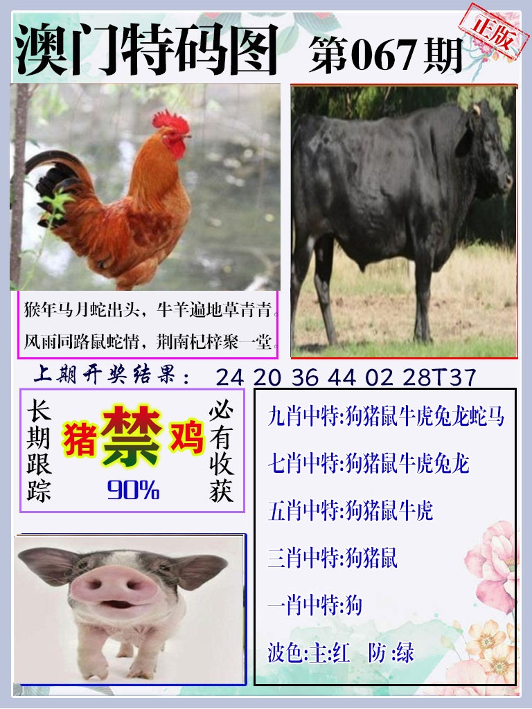 067期特码图[图]