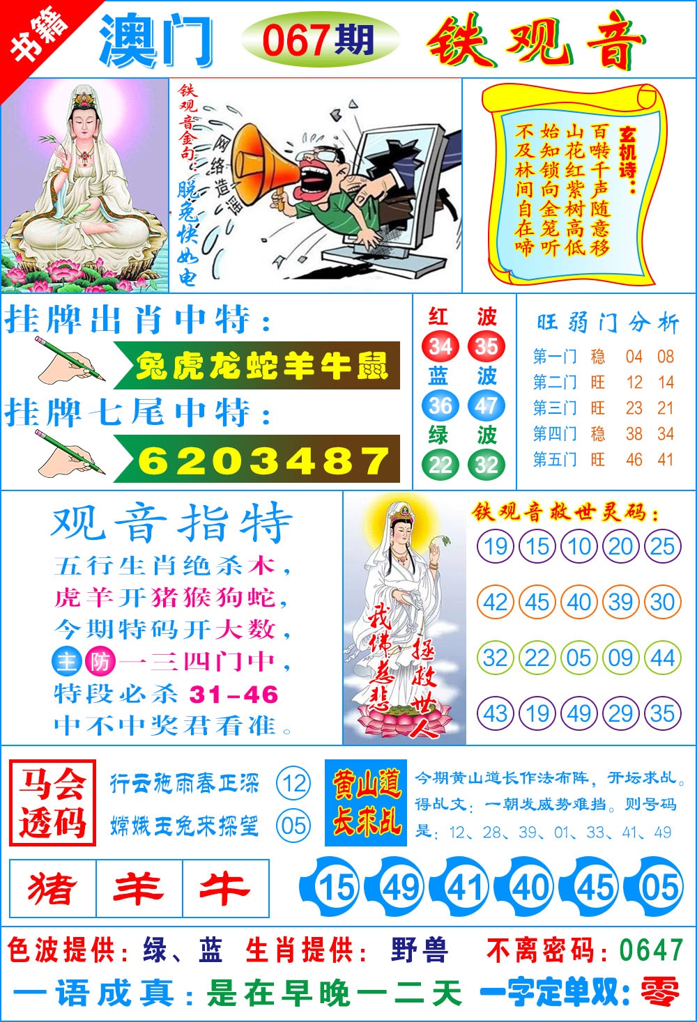 067期澳门铁观音[图]