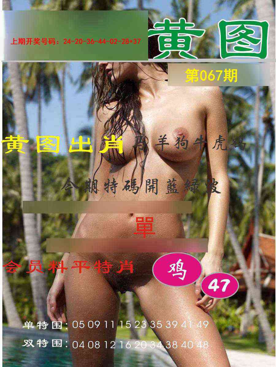 067期黄图[图]