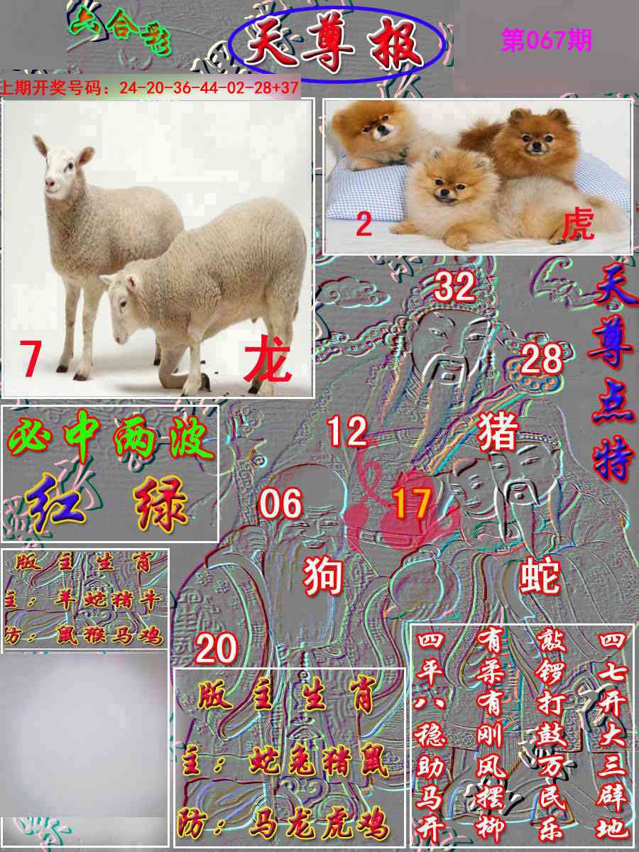 067期天尊报[图]