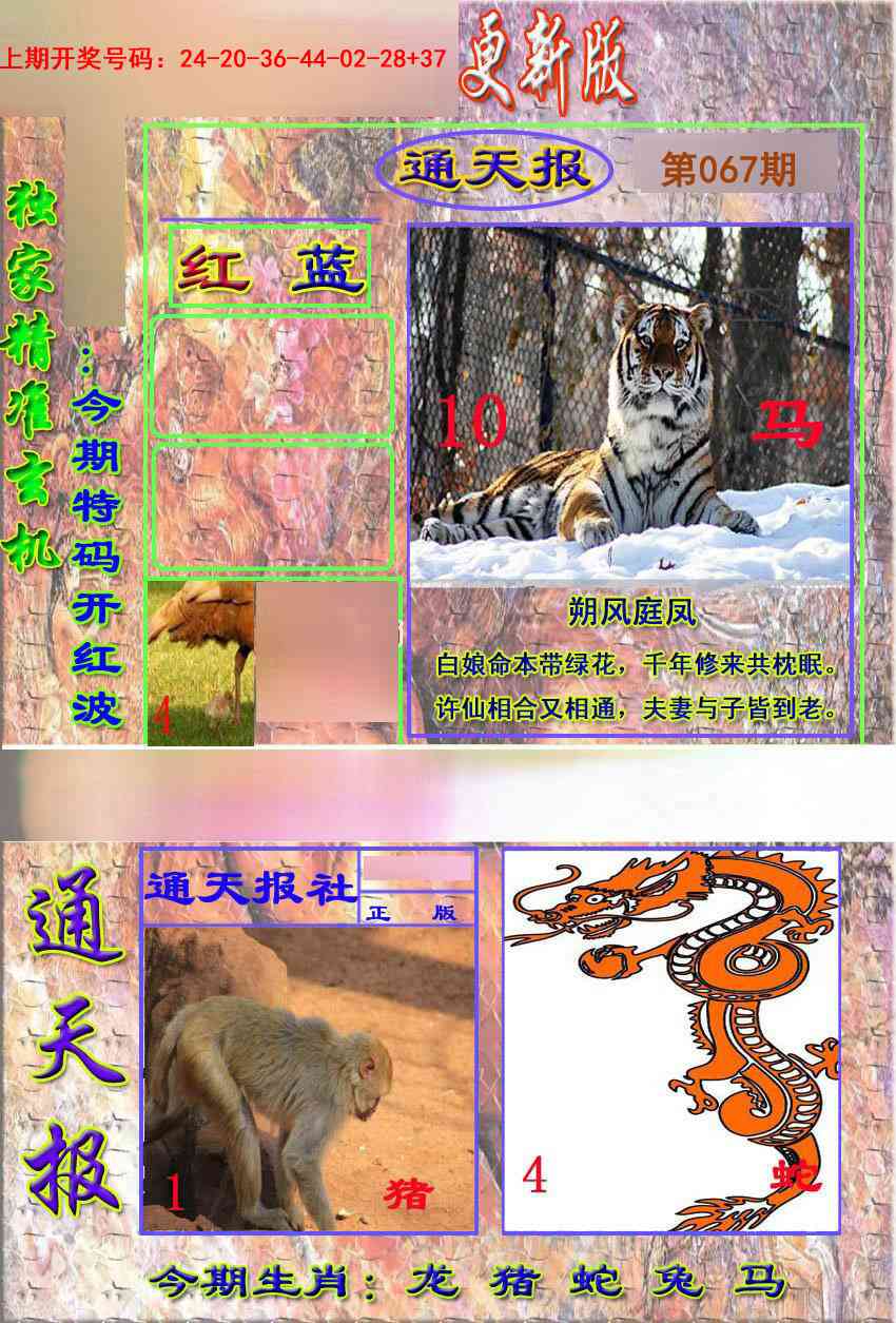 067期新通报[图]