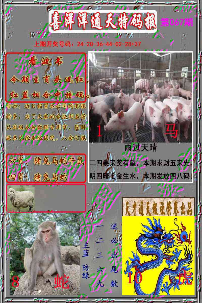 067期洋通报[图]