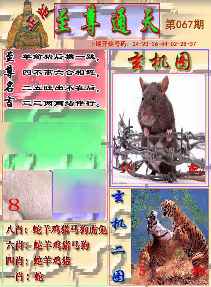 067期至通报[图]