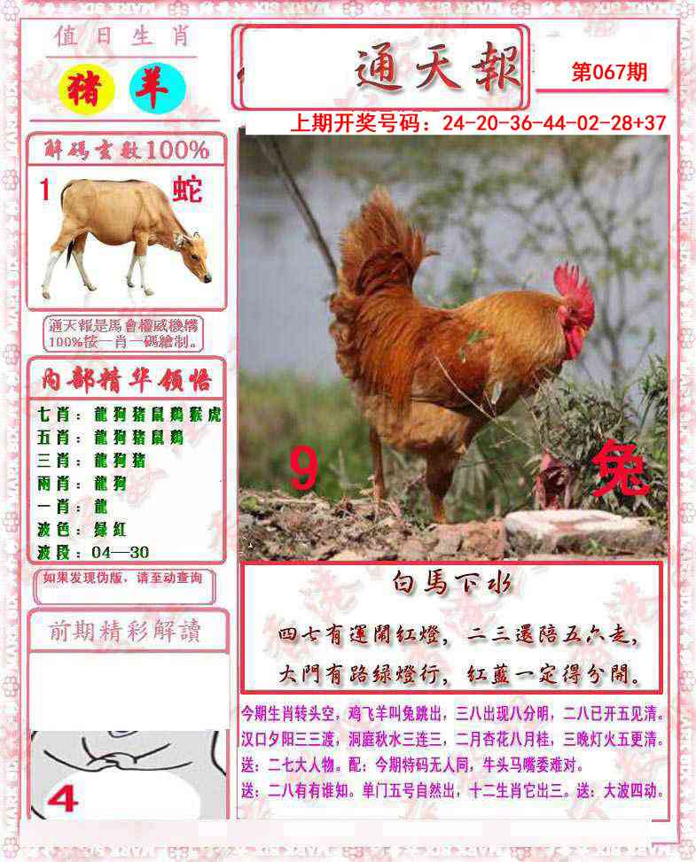 067期马经通天报[图]