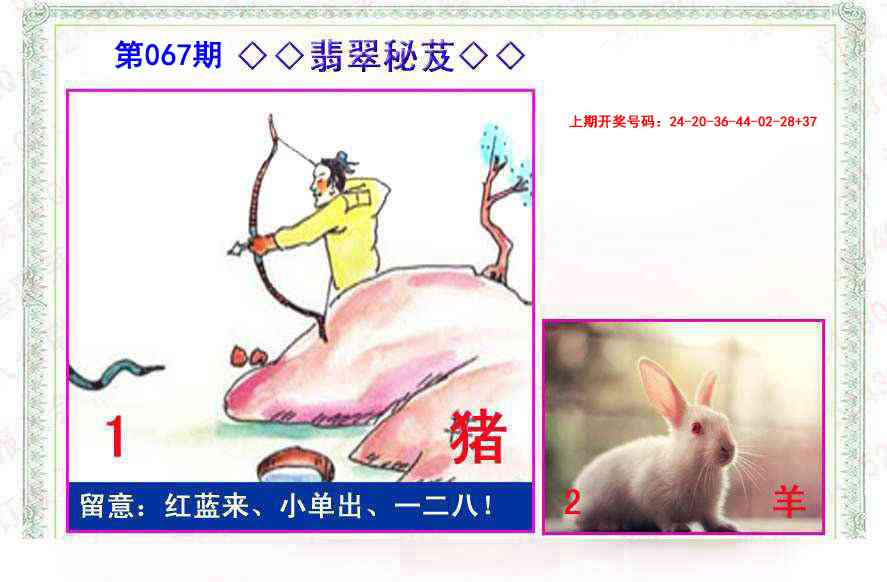 067期翡翠报[图]