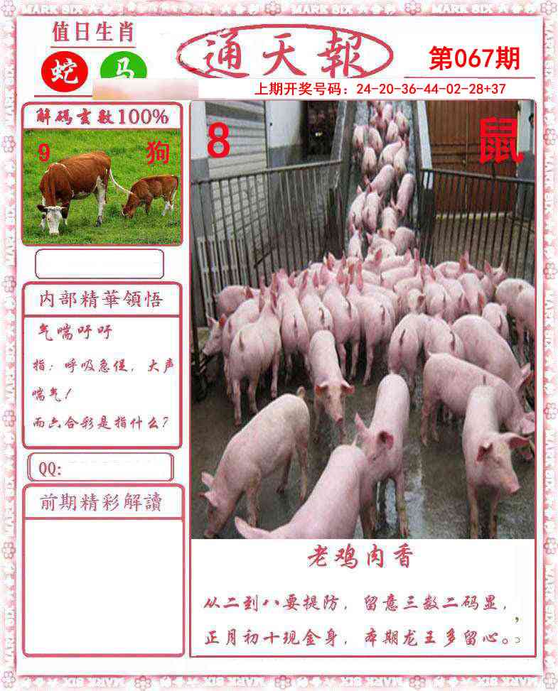 067期正版通天报[图]