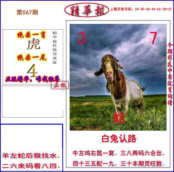 067期新精华报报[图]