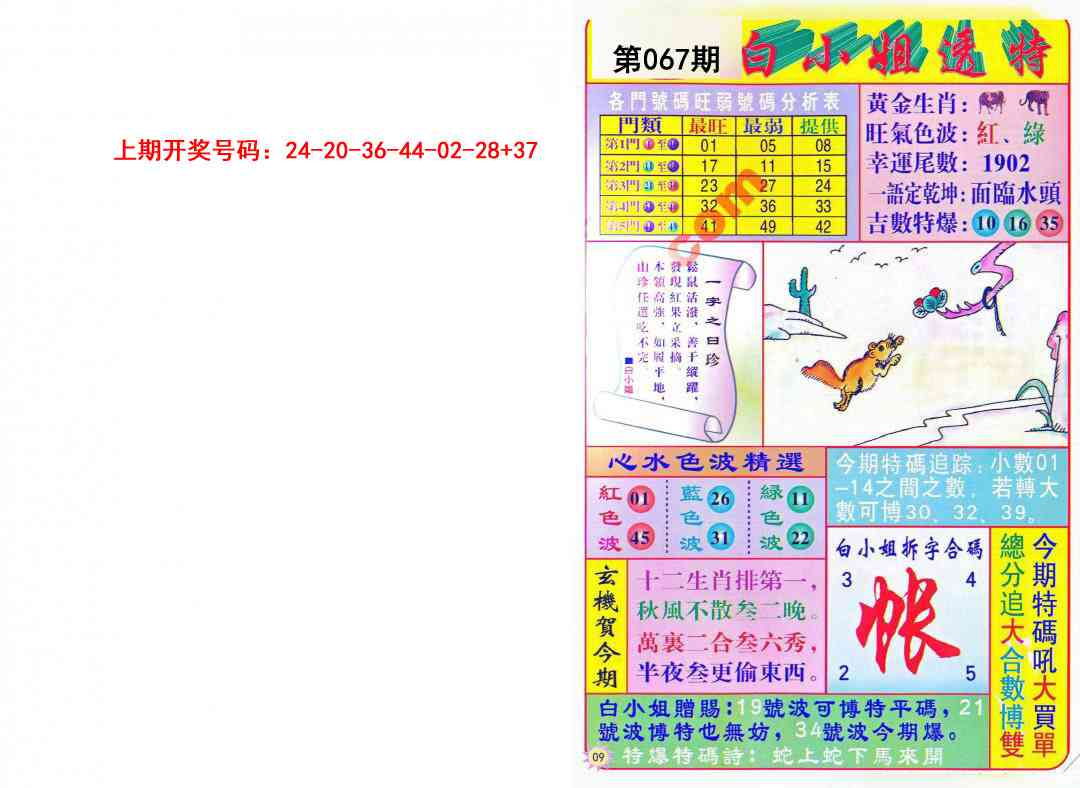 067期白小姐透特[图]