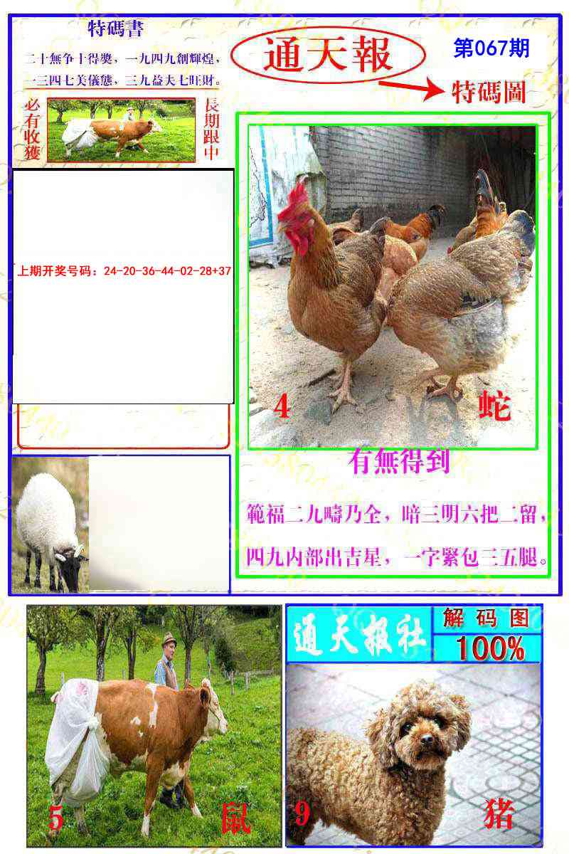 067期通天特解图[图]