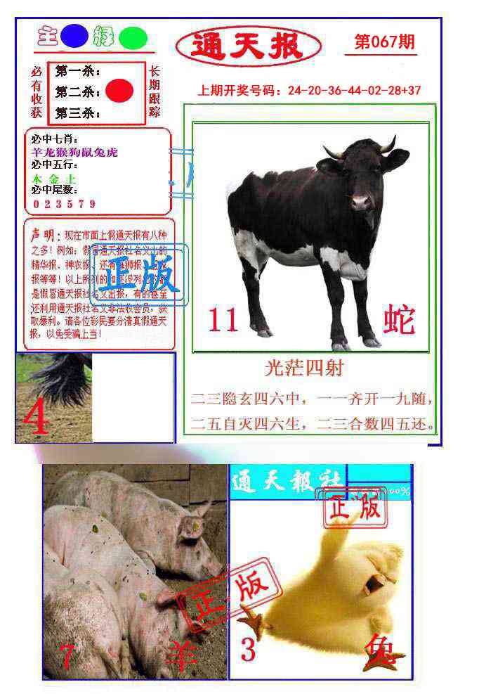 067期通天杀波图1[图]