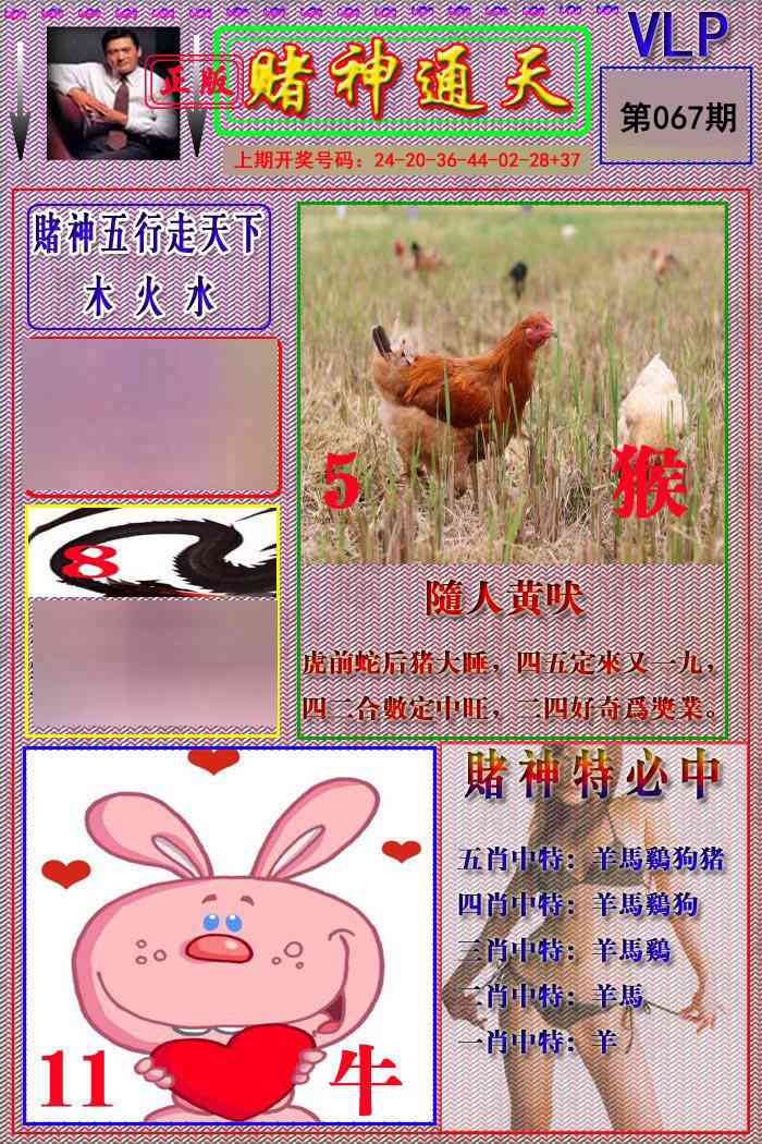 067期赌神通天报[图]