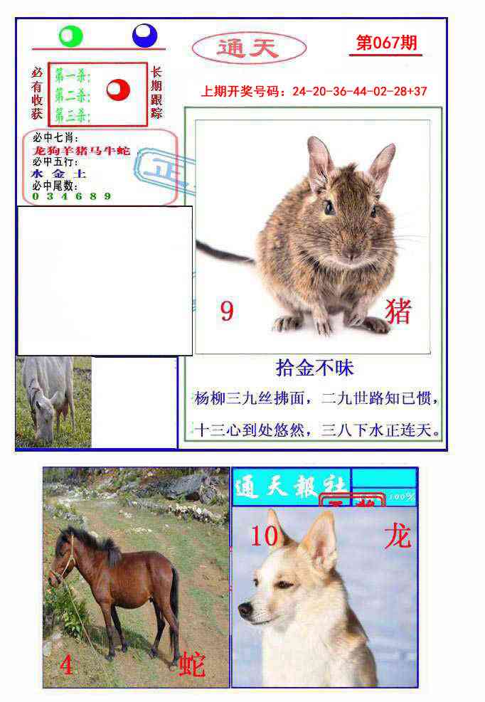 067期通天杀波图2[图]