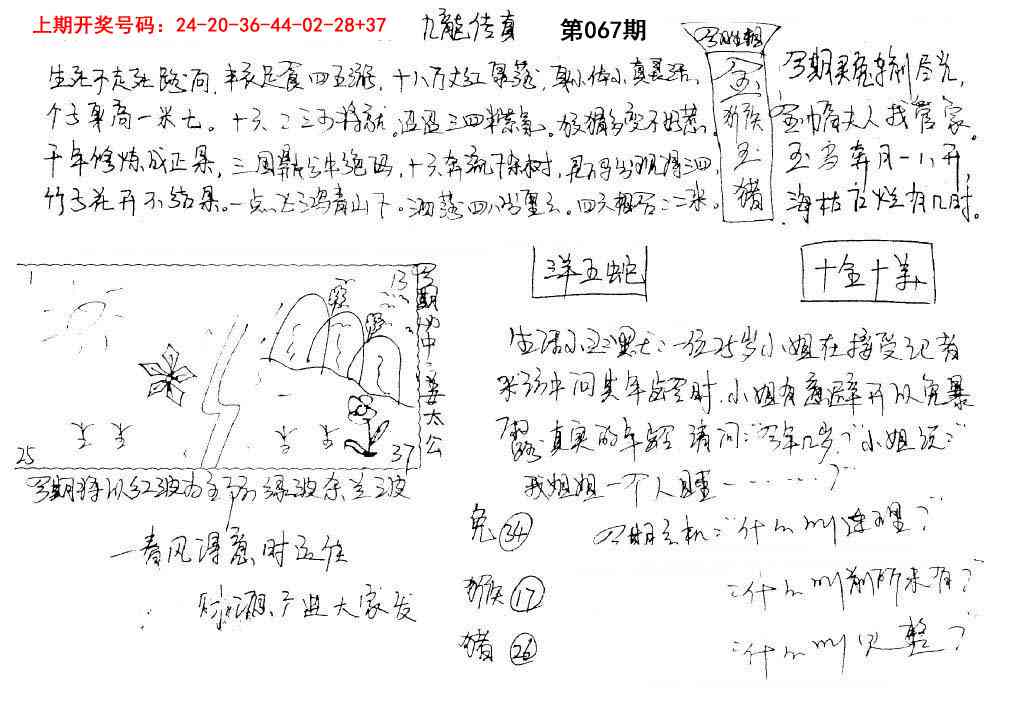 067期手写九龙内幕[图]