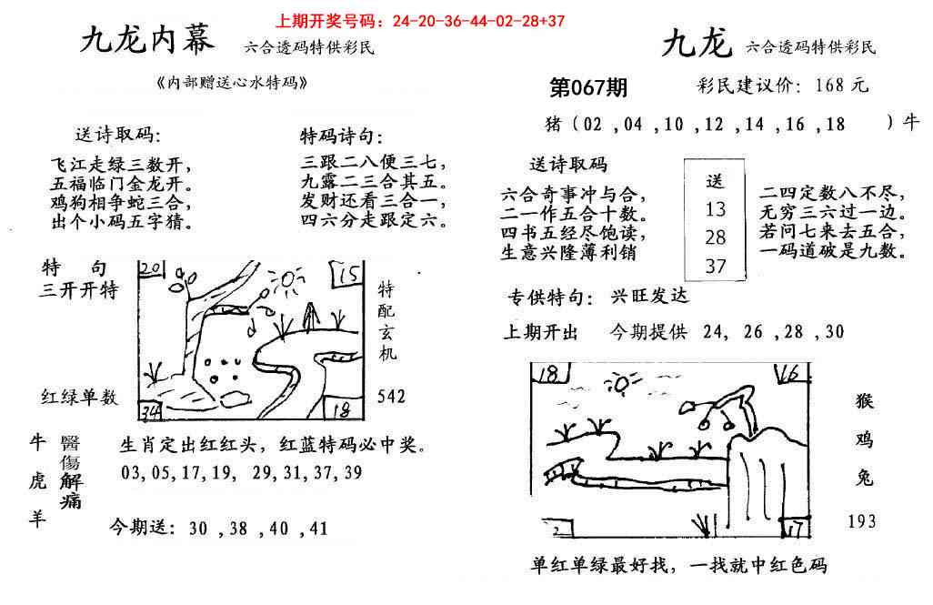 067期九龙内幕[图]