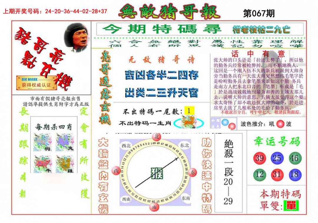 067期无敌猪哥[图]