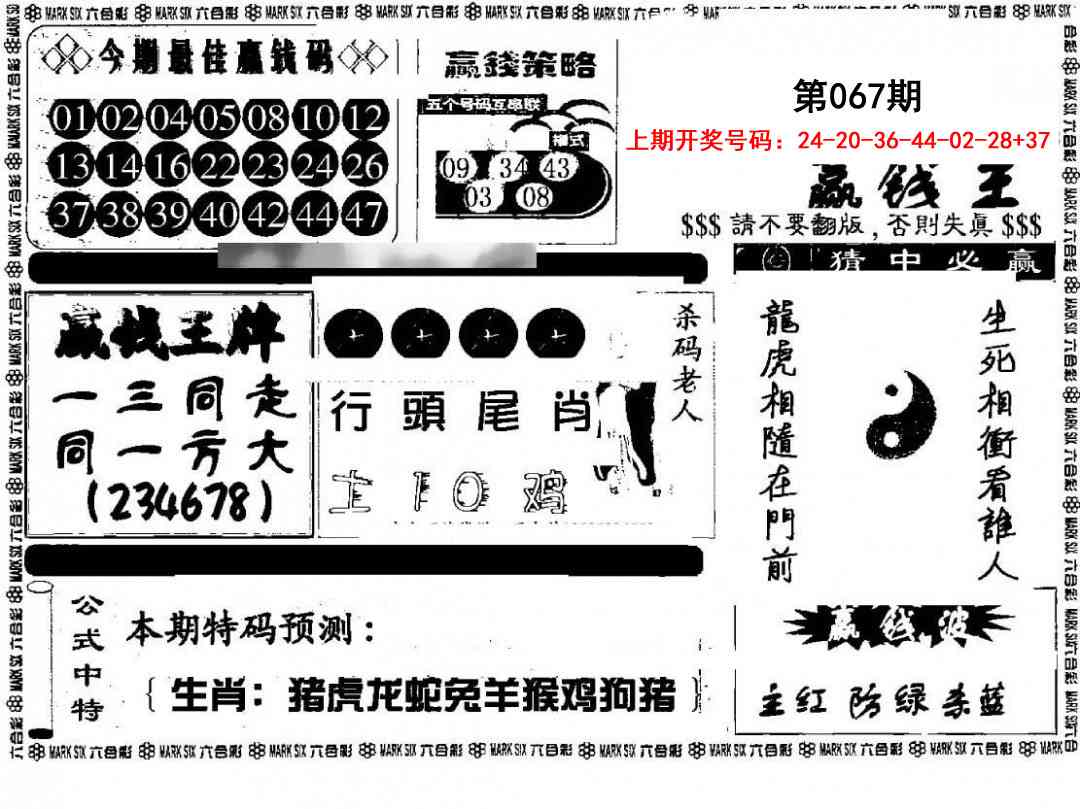 067期赢钱料[图]