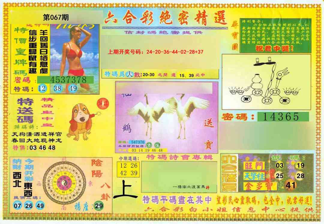 067期绝密精选A[图]