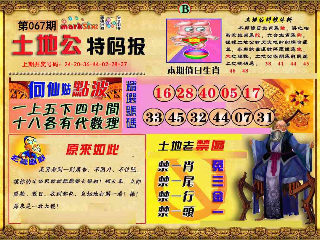 067期土地公特码报B[图]
