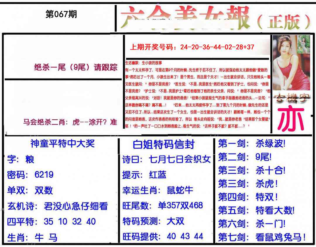 067期美女报[图]