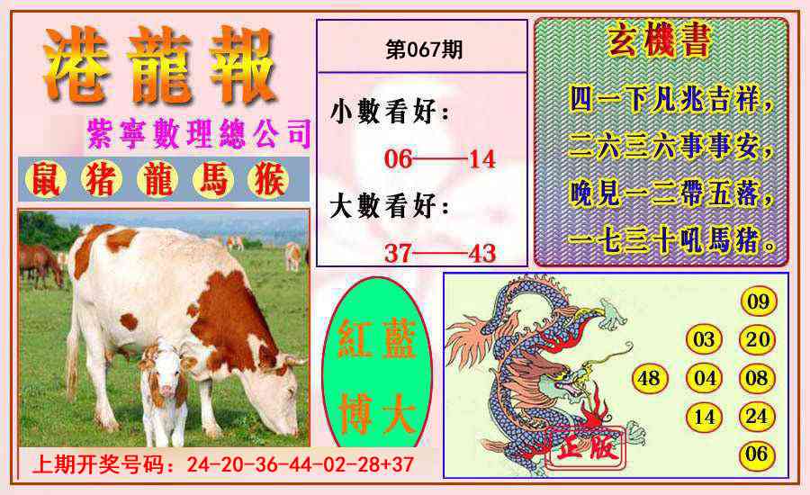 067期港龙报[图]