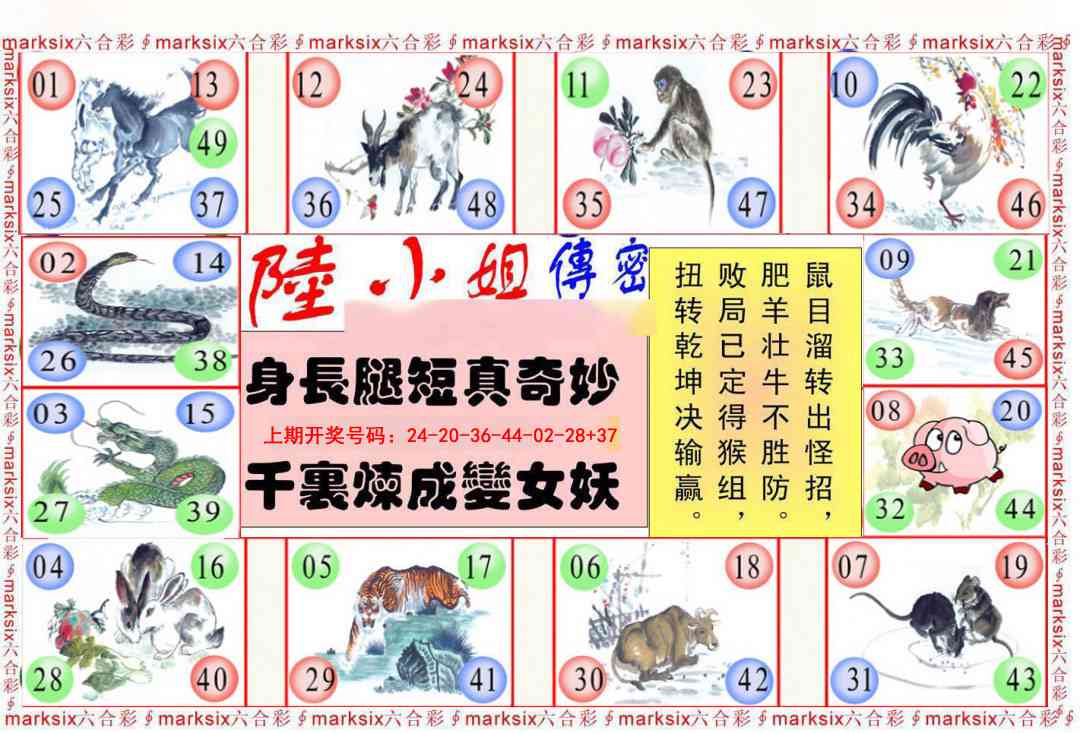 067期陆小姐传密B[图]