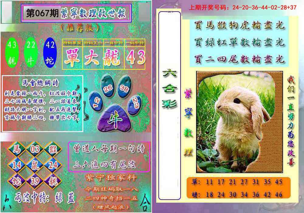 067期数理救世报[图]