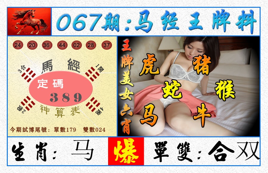 067期王牌料[图]
