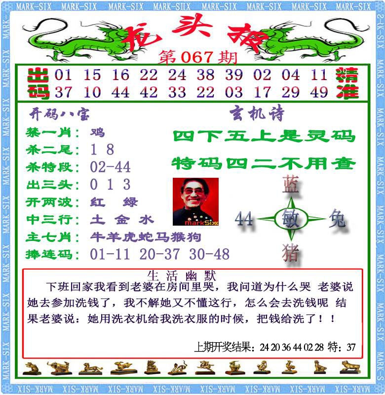 067期龙头报[图]