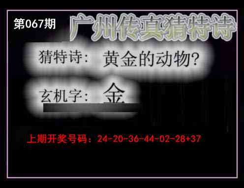067期广州传真猜特诗[图]