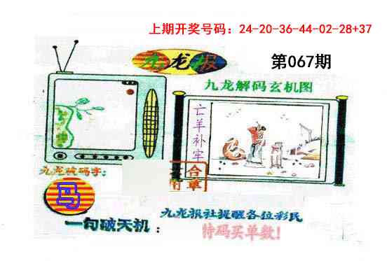 067期九龙报[图]