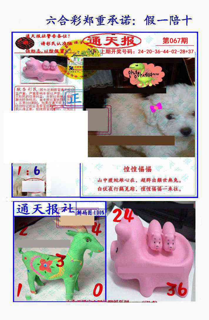 067期假一陪十通天报[图]