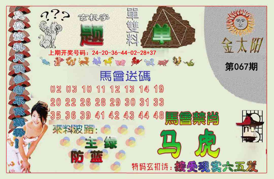 067期金太阳[图]