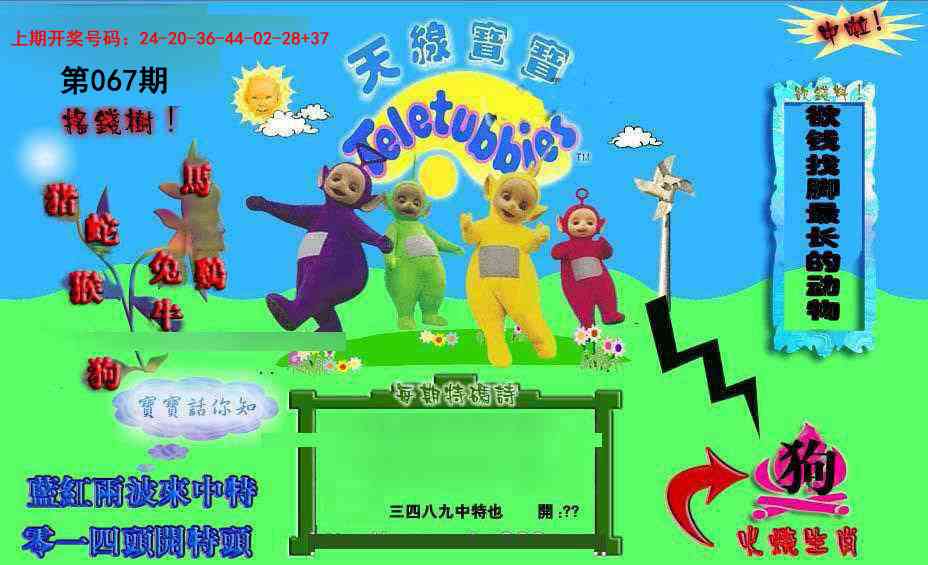 067期正版天线宝宝D[图]