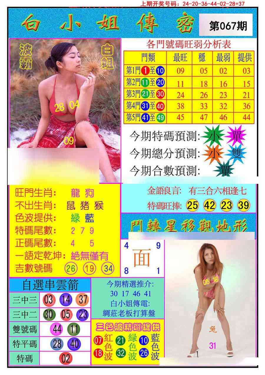 067期白小姐传密[图]